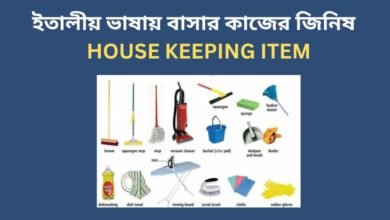 ইতালীয় ভাষায় বাসার 36 টি কাজের জিনিষ